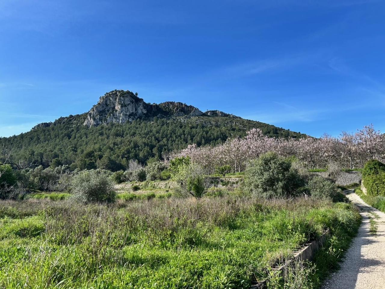 Casa Lima Villa Orba Eksteriør billede